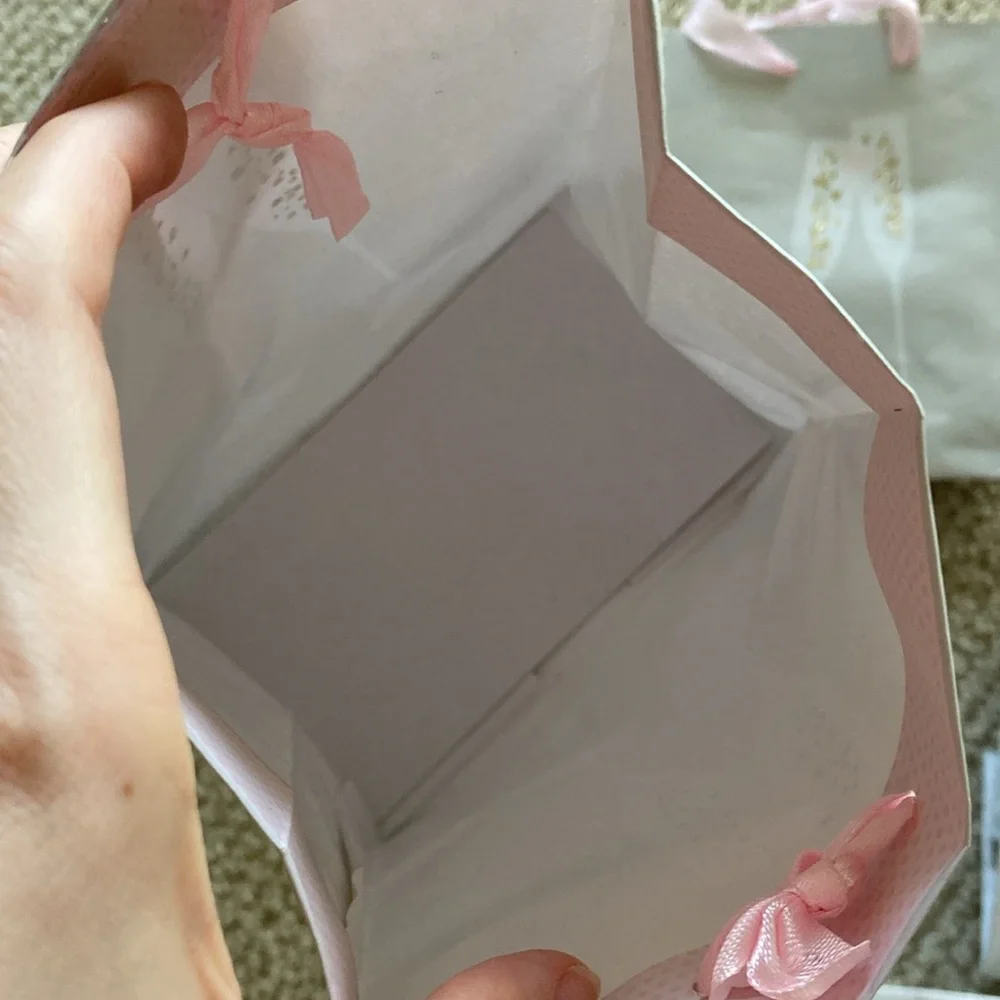 Small Champagne Gift Bags Set of 5 Like New Grad Bachelorette Engagement Party